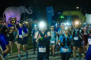 BIB: 
                            <button type="button" onclick="openModal(25586117)" class="btn btn-primary btn-sm float-right btn-popup" data-toggle="modal" data-target=".modal-high-quality">
                        <i class="fas fa-shopping-cart"></i> Add to Cart
                    </button>
                                            <button type="button" onclick="isThisMe(25586117, true)" class="btn btn-success btn-sm float-right btn-popup btn-isme hidden" data-toggle="tooltip" data-placement="bottom" title="นี่คือรูปของคุณใช่ไหม คลิกที่นี่เพื่อเอาเข้าอัลบั้ม">
                        <i class="fas fa-plus"></i> Add to album
                    </button>
                    <button type="button" onclick="isThisMe(25586117, false)" class="btn btn-warning btn-sm float-right btn-popup btn-isnotme hidden">
                        <i class="fas fa-ban"></i> Remove from album
                    </button>