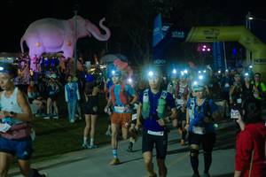 BIB: 
                            <button type="button" onclick="openModal(25583628)" class="btn btn-primary btn-sm float-right btn-popup" data-toggle="modal" data-target=".modal-high-quality">
                        <i class="fas fa-shopping-cart"></i> Add to Cart
                    </button>
                                            <button type="button" onclick="isThisMe(25583628, true)" class="btn btn-success btn-sm float-right btn-popup btn-isme hidden" data-toggle="tooltip" data-placement="bottom" title="นี่คือรูปของคุณใช่ไหม คลิกที่นี่เพื่อเอาเข้าอัลบั้ม">
                        <i class="fas fa-plus"></i> Add to album
                    </button>
                    <button type="button" onclick="isThisMe(25583628, false)" class="btn btn-warning btn-sm float-right btn-popup btn-isnotme hidden">
                        <i class="fas fa-ban"></i> Remove from album
                    </button>