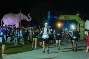 BIB: 
                            <button type="button" onclick="openModal(25583592)" class="btn btn-primary btn-sm float-right btn-popup" data-toggle="modal" data-target=".modal-high-quality">
                        <i class="fas fa-shopping-cart"></i> Add to Cart
                    </button>
                                            <button type="button" onclick="isThisMe(25583592, true)" class="btn btn-success btn-sm float-right btn-popup btn-isme hidden" data-toggle="tooltip" data-placement="bottom" title="นี่คือรูปของคุณใช่ไหม คลิกที่นี่เพื่อเอาเข้าอัลบั้ม">
                        <i class="fas fa-plus"></i> Add to album
                    </button>
                    <button type="button" onclick="isThisMe(25583592, false)" class="btn btn-warning btn-sm float-right btn-popup btn-isnotme hidden">
                        <i class="fas fa-ban"></i> Remove from album
                    </button>