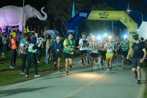 BIB: 
                            <button type="button" onclick="openModal(25582941)" class="btn btn-primary btn-sm float-right btn-popup" data-toggle="modal" data-target=".modal-high-quality">
                        <i class="fas fa-shopping-cart"></i> Add to Cart
                    </button>
                                            <button type="button" onclick="isThisMe(25582941, true)" class="btn btn-success btn-sm float-right btn-popup btn-isme hidden" data-toggle="tooltip" data-placement="bottom" title="นี่คือรูปของคุณใช่ไหม คลิกที่นี่เพื่อเอาเข้าอัลบั้ม">
                        <i class="fas fa-plus"></i> Add to album
                    </button>
                    <button type="button" onclick="isThisMe(25582941, false)" class="btn btn-warning btn-sm float-right btn-popup btn-isnotme hidden">
                        <i class="fas fa-ban"></i> Remove from album
                    </button>