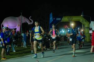 BIB: 
                            <button type="button" onclick="openModal(25583588)" class="btn btn-primary btn-sm float-right btn-popup" data-toggle="modal" data-target=".modal-high-quality">
                        <i class="fas fa-shopping-cart"></i> Add to Cart
                    </button>
                                            <button type="button" onclick="isThisMe(25583588, true)" class="btn btn-success btn-sm float-right btn-popup btn-isme hidden" data-toggle="tooltip" data-placement="bottom" title="นี่คือรูปของคุณใช่ไหม คลิกที่นี่เพื่อเอาเข้าอัลบั้ม">
                        <i class="fas fa-plus"></i> Add to album
                    </button>
                    <button type="button" onclick="isThisMe(25583588, false)" class="btn btn-warning btn-sm float-right btn-popup btn-isnotme hidden">
                        <i class="fas fa-ban"></i> Remove from album
                    </button>