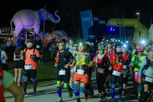 BIB: 
                            <button type="button" onclick="openModal(25587605)" class="btn btn-primary btn-sm float-right btn-popup" data-toggle="modal" data-target=".modal-high-quality">
                        <i class="fas fa-shopping-cart"></i> Add to Cart
                    </button>
                                            <button type="button" onclick="isThisMe(25587605, true)" class="btn btn-success btn-sm float-right btn-popup btn-isme hidden" data-toggle="tooltip" data-placement="bottom" title="นี่คือรูปของคุณใช่ไหม คลิกที่นี่เพื่อเอาเข้าอัลบั้ม">
                        <i class="fas fa-plus"></i> Add to album
                    </button>
                    <button type="button" onclick="isThisMe(25587605, false)" class="btn btn-warning btn-sm float-right btn-popup btn-isnotme hidden">
                        <i class="fas fa-ban"></i> Remove from album
                    </button>