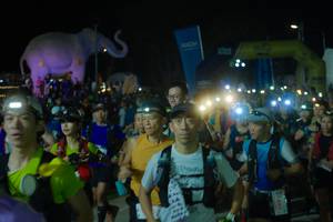 BIB: 
                            <button type="button" onclick="openModal(25584044)" class="btn btn-primary btn-sm float-right btn-popup" data-toggle="modal" data-target=".modal-high-quality">
                        <i class="fas fa-shopping-cart"></i> Add to Cart
                    </button>
                                            <button type="button" onclick="isThisMe(25584044, true)" class="btn btn-success btn-sm float-right btn-popup btn-isme hidden" data-toggle="tooltip" data-placement="bottom" title="นี่คือรูปของคุณใช่ไหม คลิกที่นี่เพื่อเอาเข้าอัลบั้ม">
                        <i class="fas fa-plus"></i> Add to album
                    </button>
                    <button type="button" onclick="isThisMe(25584044, false)" class="btn btn-warning btn-sm float-right btn-popup btn-isnotme hidden">
                        <i class="fas fa-ban"></i> Remove from album
                    </button>