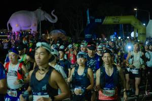 BIB: 
                            <button type="button" onclick="openModal(25583288)" class="btn btn-primary btn-sm float-right btn-popup" data-toggle="modal" data-target=".modal-high-quality">
                        <i class="fas fa-shopping-cart"></i> Add to Cart
                    </button>
                                            <button type="button" onclick="isThisMe(25583288, true)" class="btn btn-success btn-sm float-right btn-popup btn-isme hidden" data-toggle="tooltip" data-placement="bottom" title="นี่คือรูปของคุณใช่ไหม คลิกที่นี่เพื่อเอาเข้าอัลบั้ม">
                        <i class="fas fa-plus"></i> Add to album
                    </button>
                    <button type="button" onclick="isThisMe(25583288, false)" class="btn btn-warning btn-sm float-right btn-popup btn-isnotme hidden">
                        <i class="fas fa-ban"></i> Remove from album
                    </button>