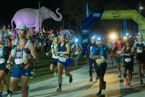 BIB: 
                            <button type="button" onclick="openModal(25582995)" class="btn btn-primary btn-sm float-right btn-popup" data-toggle="modal" data-target=".modal-high-quality">
                        <i class="fas fa-shopping-cart"></i> Add to Cart
                    </button>
                                            <button type="button" onclick="isThisMe(25582995, true)" class="btn btn-success btn-sm float-right btn-popup btn-isme hidden" data-toggle="tooltip" data-placement="bottom" title="นี่คือรูปของคุณใช่ไหม คลิกที่นี่เพื่อเอาเข้าอัลบั้ม">
                        <i class="fas fa-plus"></i> Add to album
                    </button>
                    <button type="button" onclick="isThisMe(25582995, false)" class="btn btn-warning btn-sm float-right btn-popup btn-isnotme hidden">
                        <i class="fas fa-ban"></i> Remove from album
                    </button>