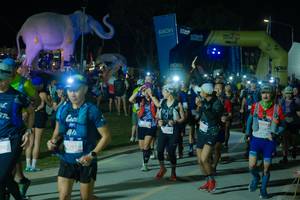 BIB: 
                            <button type="button" onclick="openModal(25587464)" class="btn btn-primary btn-sm float-right btn-popup" data-toggle="modal" data-target=".modal-high-quality">
                        <i class="fas fa-shopping-cart"></i> Add to Cart
                    </button>
                                            <button type="button" onclick="isThisMe(25587464, true)" class="btn btn-success btn-sm float-right btn-popup btn-isme hidden" data-toggle="tooltip" data-placement="bottom" title="นี่คือรูปของคุณใช่ไหม คลิกที่นี่เพื่อเอาเข้าอัลบั้ม">
                        <i class="fas fa-plus"></i> Add to album
                    </button>
                    <button type="button" onclick="isThisMe(25587464, false)" class="btn btn-warning btn-sm float-right btn-popup btn-isnotme hidden">
                        <i class="fas fa-ban"></i> Remove from album
                    </button>