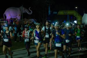 BIB: 
                            <button type="button" onclick="openModal(25583025)" class="btn btn-primary btn-sm float-right btn-popup" data-toggle="modal" data-target=".modal-high-quality">
                        <i class="fas fa-shopping-cart"></i> Add to Cart
                    </button>
                                            <button type="button" onclick="isThisMe(25583025, true)" class="btn btn-success btn-sm float-right btn-popup btn-isme hidden" data-toggle="tooltip" data-placement="bottom" title="นี่คือรูปของคุณใช่ไหม คลิกที่นี่เพื่อเอาเข้าอัลบั้ม">
                        <i class="fas fa-plus"></i> Add to album
                    </button>
                    <button type="button" onclick="isThisMe(25583025, false)" class="btn btn-warning btn-sm float-right btn-popup btn-isnotme hidden">
                        <i class="fas fa-ban"></i> Remove from album
                    </button>