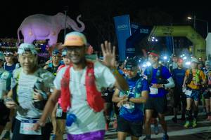 BIB: 
                            <button type="button" onclick="openModal(25584896)" class="btn btn-primary btn-sm float-right btn-popup" data-toggle="modal" data-target=".modal-high-quality">
                        <i class="fas fa-shopping-cart"></i> Add to Cart
                    </button>
                                            <button type="button" onclick="isThisMe(25584896, true)" class="btn btn-success btn-sm float-right btn-popup btn-isme hidden" data-toggle="tooltip" data-placement="bottom" title="นี่คือรูปของคุณใช่ไหม คลิกที่นี่เพื่อเอาเข้าอัลบั้ม">
                        <i class="fas fa-plus"></i> Add to album
                    </button>
                    <button type="button" onclick="isThisMe(25584896, false)" class="btn btn-warning btn-sm float-right btn-popup btn-isnotme hidden">
                        <i class="fas fa-ban"></i> Remove from album
                    </button>