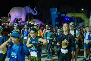 BIB: 
                            <button type="button" onclick="openModal(25585517)" class="btn btn-primary btn-sm float-right btn-popup" data-toggle="modal" data-target=".modal-high-quality">
                        <i class="fas fa-shopping-cart"></i> Add to Cart
                    </button>
                                            <button type="button" onclick="isThisMe(25585517, true)" class="btn btn-success btn-sm float-right btn-popup btn-isme hidden" data-toggle="tooltip" data-placement="bottom" title="นี่คือรูปของคุณใช่ไหม คลิกที่นี่เพื่อเอาเข้าอัลบั้ม">
                        <i class="fas fa-plus"></i> Add to album
                    </button>
                    <button type="button" onclick="isThisMe(25585517, false)" class="btn btn-warning btn-sm float-right btn-popup btn-isnotme hidden">
                        <i class="fas fa-ban"></i> Remove from album
                    </button>