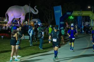 BIB: 
                            <button type="button" onclick="openModal(25587020)" class="btn btn-primary btn-sm float-right btn-popup" data-toggle="modal" data-target=".modal-high-quality">
                        <i class="fas fa-shopping-cart"></i> Add to Cart
                    </button>
                                            <button type="button" onclick="isThisMe(25587020, true)" class="btn btn-success btn-sm float-right btn-popup btn-isme hidden" data-toggle="tooltip" data-placement="bottom" title="นี่คือรูปของคุณใช่ไหม คลิกที่นี่เพื่อเอาเข้าอัลบั้ม">
                        <i class="fas fa-plus"></i> Add to album
                    </button>
                    <button type="button" onclick="isThisMe(25587020, false)" class="btn btn-warning btn-sm float-right btn-popup btn-isnotme hidden">
                        <i class="fas fa-ban"></i> Remove from album
                    </button>