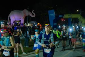 BIB: 
                            <button type="button" onclick="openModal(25585952)" class="btn btn-primary btn-sm float-right btn-popup" data-toggle="modal" data-target=".modal-high-quality">
                        <i class="fas fa-shopping-cart"></i> Add to Cart
                    </button>
                                            <button type="button" onclick="isThisMe(25585952, true)" class="btn btn-success btn-sm float-right btn-popup btn-isme hidden" data-toggle="tooltip" data-placement="bottom" title="นี่คือรูปของคุณใช่ไหม คลิกที่นี่เพื่อเอาเข้าอัลบั้ม">
                        <i class="fas fa-plus"></i> Add to album
                    </button>
                    <button type="button" onclick="isThisMe(25585952, false)" class="btn btn-warning btn-sm float-right btn-popup btn-isnotme hidden">
                        <i class="fas fa-ban"></i> Remove from album
                    </button>