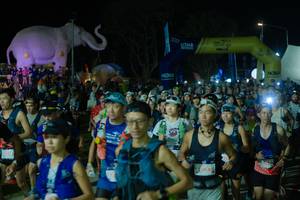 BIB: 
                            <button type="button" onclick="openModal(25583287)" class="btn btn-primary btn-sm float-right btn-popup" data-toggle="modal" data-target=".modal-high-quality">
                        <i class="fas fa-shopping-cart"></i> Add to Cart
                    </button>
                                            <button type="button" onclick="isThisMe(25583287, true)" class="btn btn-success btn-sm float-right btn-popup btn-isme hidden" data-toggle="tooltip" data-placement="bottom" title="นี่คือรูปของคุณใช่ไหม คลิกที่นี่เพื่อเอาเข้าอัลบั้ม">
                        <i class="fas fa-plus"></i> Add to album
                    </button>
                    <button type="button" onclick="isThisMe(25583287, false)" class="btn btn-warning btn-sm float-right btn-popup btn-isnotme hidden">
                        <i class="fas fa-ban"></i> Remove from album
                    </button>