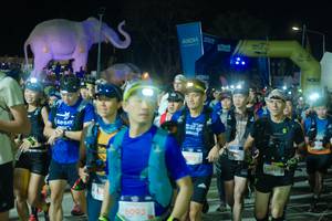 BIB: 
                            <button type="button" onclick="openModal(25584971)" class="btn btn-primary btn-sm float-right btn-popup" data-toggle="modal" data-target=".modal-high-quality">
                        <i class="fas fa-shopping-cart"></i> Add to Cart
                    </button>
                                            <button type="button" onclick="isThisMe(25584971, true)" class="btn btn-success btn-sm float-right btn-popup btn-isme hidden" data-toggle="tooltip" data-placement="bottom" title="นี่คือรูปของคุณใช่ไหม คลิกที่นี่เพื่อเอาเข้าอัลบั้ม">
                        <i class="fas fa-plus"></i> Add to album
                    </button>
                    <button type="button" onclick="isThisMe(25584971, false)" class="btn btn-warning btn-sm float-right btn-popup btn-isnotme hidden">
                        <i class="fas fa-ban"></i> Remove from album
                    </button>