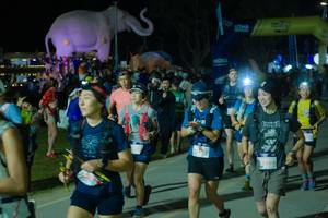 BIB: 
                            <button type="button" onclick="openModal(25583423)" class="btn btn-primary btn-sm float-right btn-popup" data-toggle="modal" data-target=".modal-high-quality">
                        <i class="fas fa-shopping-cart"></i> Add to Cart
                    </button>
                                            <button type="button" onclick="isThisMe(25583423, true)" class="btn btn-success btn-sm float-right btn-popup btn-isme hidden" data-toggle="tooltip" data-placement="bottom" title="นี่คือรูปของคุณใช่ไหม คลิกที่นี่เพื่อเอาเข้าอัลบั้ม">
                        <i class="fas fa-plus"></i> Add to album
                    </button>
                    <button type="button" onclick="isThisMe(25583423, false)" class="btn btn-warning btn-sm float-right btn-popup btn-isnotme hidden">
                        <i class="fas fa-ban"></i> Remove from album
                    </button>