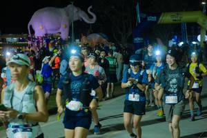 BIB: 
                            <button type="button" onclick="openModal(25583425)" class="btn btn-primary btn-sm float-right btn-popup" data-toggle="modal" data-target=".modal-high-quality">
                        <i class="fas fa-shopping-cart"></i> Add to Cart
                    </button>
                                            <button type="button" onclick="isThisMe(25583425, true)" class="btn btn-success btn-sm float-right btn-popup btn-isme hidden" data-toggle="tooltip" data-placement="bottom" title="นี่คือรูปของคุณใช่ไหม คลิกที่นี่เพื่อเอาเข้าอัลบั้ม">
                        <i class="fas fa-plus"></i> Add to album
                    </button>
                    <button type="button" onclick="isThisMe(25583425, false)" class="btn btn-warning btn-sm float-right btn-popup btn-isnotme hidden">
                        <i class="fas fa-ban"></i> Remove from album
                    </button>