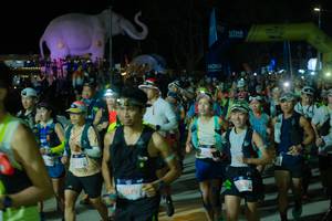 BIB: 
                            <button type="button" onclick="openModal(25583248)" class="btn btn-primary btn-sm float-right btn-popup" data-toggle="modal" data-target=".modal-high-quality">
                        <i class="fas fa-shopping-cart"></i> Add to Cart
                    </button>
                                            <button type="button" onclick="isThisMe(25583248, true)" class="btn btn-success btn-sm float-right btn-popup btn-isme hidden" data-toggle="tooltip" data-placement="bottom" title="นี่คือรูปของคุณใช่ไหม คลิกที่นี่เพื่อเอาเข้าอัลบั้ม">
                        <i class="fas fa-plus"></i> Add to album
                    </button>
                    <button type="button" onclick="isThisMe(25583248, false)" class="btn btn-warning btn-sm float-right btn-popup btn-isnotme hidden">
                        <i class="fas fa-ban"></i> Remove from album
                    </button>