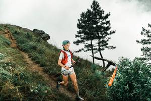 BIB: 
                            <button type="button" onclick="openModal(26000486)" class="btn btn-primary btn-sm float-right btn-popup" data-toggle="modal" data-target=".modal-high-quality">
                        <i class="fas fa-shopping-cart"></i> Add to Cart
                    </button>
                                            <button type="button" onclick="isThisMe(26000486, true)" class="btn btn-success btn-sm float-right btn-popup btn-isme hidden" data-toggle="tooltip" data-placement="bottom" title="นี่คือรูปของคุณใช่ไหม คลิกที่นี่เพื่อเอาเข้าอัลบั้ม">
                        <i class="fas fa-plus"></i> Add to album
                    </button>
                    <button type="button" onclick="isThisMe(26000486, false)" class="btn btn-warning btn-sm float-right btn-popup btn-isnotme hidden">
                        <i class="fas fa-ban"></i> Remove from album
                    </button>