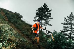 BIB: 
                            <button type="button" onclick="openModal(26000149)" class="btn btn-primary btn-sm float-right btn-popup" data-toggle="modal" data-target=".modal-high-quality">
                        <i class="fas fa-shopping-cart"></i> Add to Cart
                    </button>
                                            <button type="button" onclick="isThisMe(26000149, true)" class="btn btn-success btn-sm float-right btn-popup btn-isme hidden" data-toggle="tooltip" data-placement="bottom" title="นี่คือรูปของคุณใช่ไหม คลิกที่นี่เพื่อเอาเข้าอัลบั้ม">
                        <i class="fas fa-plus"></i> Add to album
                    </button>
                    <button type="button" onclick="isThisMe(26000149, false)" class="btn btn-warning btn-sm float-right btn-popup btn-isnotme hidden">
                        <i class="fas fa-ban"></i> Remove from album
                    </button>