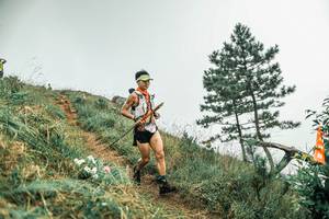 BIB: 
                            <button type="button" onclick="openModal(25999440)" class="btn btn-primary btn-sm float-right btn-popup" data-toggle="modal" data-target=".modal-high-quality">
                        <i class="fas fa-shopping-cart"></i> Add to Cart
                    </button>
                                            <button type="button" onclick="isThisMe(25999440, true)" class="btn btn-success btn-sm float-right btn-popup btn-isme hidden" data-toggle="tooltip" data-placement="bottom" title="นี่คือรูปของคุณใช่ไหม คลิกที่นี่เพื่อเอาเข้าอัลบั้ม">
                        <i class="fas fa-plus"></i> Add to album
                    </button>
                    <button type="button" onclick="isThisMe(25999440, false)" class="btn btn-warning btn-sm float-right btn-popup btn-isnotme hidden">
                        <i class="fas fa-ban"></i> Remove from album
                    </button>