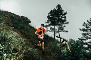 BIB: 
                            <button type="button" onclick="openModal(26000148)" class="btn btn-primary btn-sm float-right btn-popup" data-toggle="modal" data-target=".modal-high-quality">
                        <i class="fas fa-shopping-cart"></i> Add to Cart
                    </button>
                                            <button type="button" onclick="isThisMe(26000148, true)" class="btn btn-success btn-sm float-right btn-popup btn-isme hidden" data-toggle="tooltip" data-placement="bottom" title="นี่คือรูปของคุณใช่ไหม คลิกที่นี่เพื่อเอาเข้าอัลบั้ม">
                        <i class="fas fa-plus"></i> Add to album
                    </button>
                    <button type="button" onclick="isThisMe(26000148, false)" class="btn btn-warning btn-sm float-right btn-popup btn-isnotme hidden">
                        <i class="fas fa-ban"></i> Remove from album
                    </button>