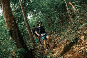 BIB: 
                            <button type="button" onclick="openModal(25535438)" class="btn btn-primary btn-sm float-right btn-popup" data-toggle="modal" data-target=".modal-high-quality">
                        <i class="fas fa-shopping-cart"></i> Add to Cart
                    </button>
                                            <button type="button" onclick="isThisMe(25535438, true)" class="btn btn-success btn-sm float-right btn-popup btn-isme hidden" data-toggle="tooltip" data-placement="bottom" title="นี่คือรูปของคุณใช่ไหม คลิกที่นี่เพื่อเอาเข้าอัลบั้ม">
                        <i class="fas fa-plus"></i> Add to album
                    </button>
                    <button type="button" onclick="isThisMe(25535438, false)" class="btn btn-warning btn-sm float-right btn-popup btn-isnotme hidden">
                        <i class="fas fa-ban"></i> Remove from album
                    </button>