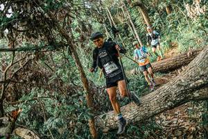 BIB: 
                            <button type="button" onclick="openModal(25532046)" class="btn btn-primary btn-sm float-right btn-popup" data-toggle="modal" data-target=".modal-high-quality">
                        <i class="fas fa-shopping-cart"></i> Add to Cart
                    </button>
                                            <button type="button" onclick="isThisMe(25532046, true)" class="btn btn-success btn-sm float-right btn-popup btn-isme hidden" data-toggle="tooltip" data-placement="bottom" title="นี่คือรูปของคุณใช่ไหม คลิกที่นี่เพื่อเอาเข้าอัลบั้ม">
                        <i class="fas fa-plus"></i> Add to album
                    </button>
                    <button type="button" onclick="isThisMe(25532046, false)" class="btn btn-warning btn-sm float-right btn-popup btn-isnotme hidden">
                        <i class="fas fa-ban"></i> Remove from album
                    </button>