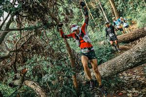 BIB: 
                            <button type="button" onclick="openModal(25532029)" class="btn btn-primary btn-sm float-right btn-popup" data-toggle="modal" data-target=".modal-high-quality">
                        <i class="fas fa-shopping-cart"></i> Add to Cart
                    </button>
                                            <button type="button" onclick="isThisMe(25532029, true)" class="btn btn-success btn-sm float-right btn-popup btn-isme hidden" data-toggle="tooltip" data-placement="bottom" title="นี่คือรูปของคุณใช่ไหม คลิกที่นี่เพื่อเอาเข้าอัลบั้ม">
                        <i class="fas fa-plus"></i> Add to album
                    </button>
                    <button type="button" onclick="isThisMe(25532029, false)" class="btn btn-warning btn-sm float-right btn-popup btn-isnotme hidden">
                        <i class="fas fa-ban"></i> Remove from album
                    </button>