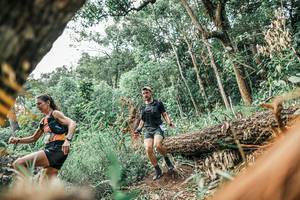 BIB: 
                            <button type="button" onclick="openModal(25531161)" class="btn btn-primary btn-sm float-right btn-popup" data-toggle="modal" data-target=".modal-high-quality">
                        <i class="fas fa-shopping-cart"></i> Add to Cart
                    </button>
                                            <button type="button" onclick="isThisMe(25531161, true)" class="btn btn-success btn-sm float-right btn-popup btn-isme hidden" data-toggle="tooltip" data-placement="bottom" title="นี่คือรูปของคุณใช่ไหม คลิกที่นี่เพื่อเอาเข้าอัลบั้ม">
                        <i class="fas fa-plus"></i> Add to album
                    </button>
                    <button type="button" onclick="isThisMe(25531161, false)" class="btn btn-warning btn-sm float-right btn-popup btn-isnotme hidden">
                        <i class="fas fa-ban"></i> Remove from album
                    </button>