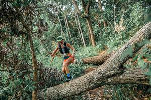 BIB: 
                            <button type="button" onclick="openModal(25531881)" class="btn btn-primary btn-sm float-right btn-popup" data-toggle="modal" data-target=".modal-high-quality">
                        <i class="fas fa-shopping-cart"></i> Add to Cart
                    </button>
                                            <button type="button" onclick="isThisMe(25531881, true)" class="btn btn-success btn-sm float-right btn-popup btn-isme hidden" data-toggle="tooltip" data-placement="bottom" title="นี่คือรูปของคุณใช่ไหม คลิกที่นี่เพื่อเอาเข้าอัลบั้ม">
                        <i class="fas fa-plus"></i> Add to album
                    </button>
                    <button type="button" onclick="isThisMe(25531881, false)" class="btn btn-warning btn-sm float-right btn-popup btn-isnotme hidden">
                        <i class="fas fa-ban"></i> Remove from album
                    </button>