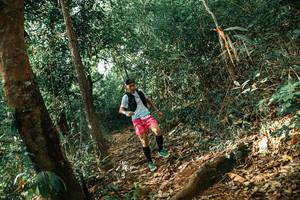 BIB: 
                            <button type="button" onclick="openModal(25549797)" class="btn btn-primary btn-sm float-right btn-popup" data-toggle="modal" data-target=".modal-high-quality">
                        <i class="fas fa-shopping-cart"></i> Add to Cart
                    </button>
                                            <button type="button" onclick="isThisMe(25549797, true)" class="btn btn-success btn-sm float-right btn-popup btn-isme hidden" data-toggle="tooltip" data-placement="bottom" title="นี่คือรูปของคุณใช่ไหม คลิกที่นี่เพื่อเอาเข้าอัลบั้ม">
                        <i class="fas fa-plus"></i> Add to album
                    </button>
                    <button type="button" onclick="isThisMe(25549797, false)" class="btn btn-warning btn-sm float-right btn-popup btn-isnotme hidden">
                        <i class="fas fa-ban"></i> Remove from album
                    </button>