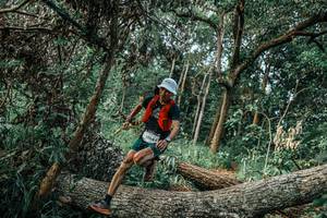 BIB: 
                            <button type="button" onclick="openModal(25532214)" class="btn btn-primary btn-sm float-right btn-popup" data-toggle="modal" data-target=".modal-high-quality">
                        <i class="fas fa-shopping-cart"></i> Add to Cart
                    </button>
                                            <button type="button" onclick="isThisMe(25532214, true)" class="btn btn-success btn-sm float-right btn-popup btn-isme hidden" data-toggle="tooltip" data-placement="bottom" title="นี่คือรูปของคุณใช่ไหม คลิกที่นี่เพื่อเอาเข้าอัลบั้ม">
                        <i class="fas fa-plus"></i> Add to album
                    </button>
                    <button type="button" onclick="isThisMe(25532214, false)" class="btn btn-warning btn-sm float-right btn-popup btn-isnotme hidden">
                        <i class="fas fa-ban"></i> Remove from album
                    </button>