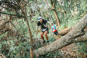 BIB: 
                            <button type="button" onclick="openModal(25531937)" class="btn btn-primary btn-sm float-right btn-popup" data-toggle="modal" data-target=".modal-high-quality">
                        <i class="fas fa-shopping-cart"></i> Add to Cart
                    </button>
                                            <button type="button" onclick="isThisMe(25531937, true)" class="btn btn-success btn-sm float-right btn-popup btn-isme hidden" data-toggle="tooltip" data-placement="bottom" title="นี่คือรูปของคุณใช่ไหม คลิกที่นี่เพื่อเอาเข้าอัลบั้ม">
                        <i class="fas fa-plus"></i> Add to album
                    </button>
                    <button type="button" onclick="isThisMe(25531937, false)" class="btn btn-warning btn-sm float-right btn-popup btn-isnotme hidden">
                        <i class="fas fa-ban"></i> Remove from album
                    </button>