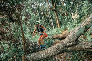 BIB: 
                            <button type="button" onclick="openModal(25531890)" class="btn btn-primary btn-sm float-right btn-popup" data-toggle="modal" data-target=".modal-high-quality">
                        <i class="fas fa-shopping-cart"></i> Add to Cart
                    </button>
                                            <button type="button" onclick="isThisMe(25531890, true)" class="btn btn-success btn-sm float-right btn-popup btn-isme hidden" data-toggle="tooltip" data-placement="bottom" title="นี่คือรูปของคุณใช่ไหม คลิกที่นี่เพื่อเอาเข้าอัลบั้ม">
                        <i class="fas fa-plus"></i> Add to album
                    </button>
                    <button type="button" onclick="isThisMe(25531890, false)" class="btn btn-warning btn-sm float-right btn-popup btn-isnotme hidden">
                        <i class="fas fa-ban"></i> Remove from album
                    </button>