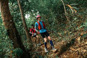 BIB: 
                            <button type="button" onclick="openModal(25535318)" class="btn btn-primary btn-sm float-right btn-popup" data-toggle="modal" data-target=".modal-high-quality">
                        <i class="fas fa-shopping-cart"></i> Add to Cart
                    </button>
                                            <button type="button" onclick="isThisMe(25535318, true)" class="btn btn-success btn-sm float-right btn-popup btn-isme hidden" data-toggle="tooltip" data-placement="bottom" title="นี่คือรูปของคุณใช่ไหม คลิกที่นี่เพื่อเอาเข้าอัลบั้ม">
                        <i class="fas fa-plus"></i> Add to album
                    </button>
                    <button type="button" onclick="isThisMe(25535318, false)" class="btn btn-warning btn-sm float-right btn-popup btn-isnotme hidden">
                        <i class="fas fa-ban"></i> Remove from album
                    </button>