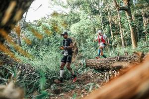 BIB: 
                            <button type="button" onclick="openModal(25530959)" class="btn btn-primary btn-sm float-right btn-popup" data-toggle="modal" data-target=".modal-high-quality">
                        <i class="fas fa-shopping-cart"></i> Add to Cart
                    </button>
                                            <button type="button" onclick="isThisMe(25530959, true)" class="btn btn-success btn-sm float-right btn-popup btn-isme hidden" data-toggle="tooltip" data-placement="bottom" title="นี่คือรูปของคุณใช่ไหม คลิกที่นี่เพื่อเอาเข้าอัลบั้ม">
                        <i class="fas fa-plus"></i> Add to album
                    </button>
                    <button type="button" onclick="isThisMe(25530959, false)" class="btn btn-warning btn-sm float-right btn-popup btn-isnotme hidden">
                        <i class="fas fa-ban"></i> Remove from album
                    </button>