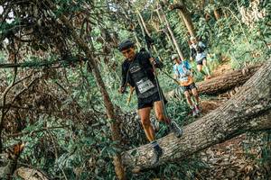 BIB: 
                            <button type="button" onclick="openModal(25532036)" class="btn btn-primary btn-sm float-right btn-popup" data-toggle="modal" data-target=".modal-high-quality">
                        <i class="fas fa-shopping-cart"></i> Add to Cart
                    </button>
                                            <button type="button" onclick="isThisMe(25532036, true)" class="btn btn-success btn-sm float-right btn-popup btn-isme hidden" data-toggle="tooltip" data-placement="bottom" title="นี่คือรูปของคุณใช่ไหม คลิกที่นี่เพื่อเอาเข้าอัลบั้ม">
                        <i class="fas fa-plus"></i> Add to album
                    </button>
                    <button type="button" onclick="isThisMe(25532036, false)" class="btn btn-warning btn-sm float-right btn-popup btn-isnotme hidden">
                        <i class="fas fa-ban"></i> Remove from album
                    </button>