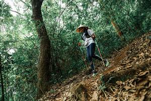 BIB: 
                            <button type="button" onclick="openModal(25562666)" class="btn btn-primary btn-sm float-right btn-popup" data-toggle="modal" data-target=".modal-high-quality">
                        <i class="fas fa-shopping-cart"></i> Add to Cart
                    </button>
                                            <button type="button" onclick="isThisMe(25562666, true)" class="btn btn-success btn-sm float-right btn-popup btn-isme hidden" data-toggle="tooltip" data-placement="bottom" title="นี่คือรูปของคุณใช่ไหม คลิกที่นี่เพื่อเอาเข้าอัลบั้ม">
                        <i class="fas fa-plus"></i> Add to album
                    </button>
                    <button type="button" onclick="isThisMe(25562666, false)" class="btn btn-warning btn-sm float-right btn-popup btn-isnotme hidden">
                        <i class="fas fa-ban"></i> Remove from album
                    </button>