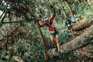 BIB: 
                            <button type="button" onclick="openModal(25532017)" class="btn btn-primary btn-sm float-right btn-popup" data-toggle="modal" data-target=".modal-high-quality">
                        <i class="fas fa-shopping-cart"></i> Add to Cart
                    </button>
                                            <button type="button" onclick="isThisMe(25532017, true)" class="btn btn-success btn-sm float-right btn-popup btn-isme hidden" data-toggle="tooltip" data-placement="bottom" title="นี่คือรูปของคุณใช่ไหม คลิกที่นี่เพื่อเอาเข้าอัลบั้ม">
                        <i class="fas fa-plus"></i> Add to album
                    </button>
                    <button type="button" onclick="isThisMe(25532017, false)" class="btn btn-warning btn-sm float-right btn-popup btn-isnotme hidden">
                        <i class="fas fa-ban"></i> Remove from album
                    </button>