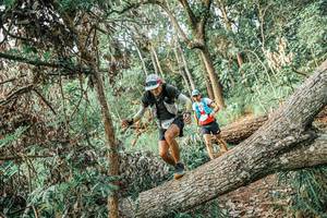 BIB: 
                            <button type="button" onclick="openModal(25531919)" class="btn btn-primary btn-sm float-right btn-popup" data-toggle="modal" data-target=".modal-high-quality">
                        <i class="fas fa-shopping-cart"></i> Add to Cart
                    </button>
                                            <button type="button" onclick="isThisMe(25531919, true)" class="btn btn-success btn-sm float-right btn-popup btn-isme hidden" data-toggle="tooltip" data-placement="bottom" title="นี่คือรูปของคุณใช่ไหม คลิกที่นี่เพื่อเอาเข้าอัลบั้ม">
                        <i class="fas fa-plus"></i> Add to album
                    </button>
                    <button type="button" onclick="isThisMe(25531919, false)" class="btn btn-warning btn-sm float-right btn-popup btn-isnotme hidden">
                        <i class="fas fa-ban"></i> Remove from album
                    </button>