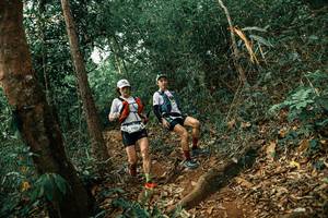 BIB: 
                            <button type="button" onclick="openModal(25537879)" class="btn btn-primary btn-sm float-right btn-popup" data-toggle="modal" data-target=".modal-high-quality">
                        <i class="fas fa-shopping-cart"></i> Add to Cart
                    </button>
                                            <button type="button" onclick="isThisMe(25537879, true)" class="btn btn-success btn-sm float-right btn-popup btn-isme hidden" data-toggle="tooltip" data-placement="bottom" title="นี่คือรูปของคุณใช่ไหม คลิกที่นี่เพื่อเอาเข้าอัลบั้ม">
                        <i class="fas fa-plus"></i> Add to album
                    </button>
                    <button type="button" onclick="isThisMe(25537879, false)" class="btn btn-warning btn-sm float-right btn-popup btn-isnotme hidden">
                        <i class="fas fa-ban"></i> Remove from album
                    </button>