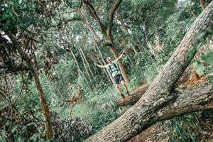 BIB: 
                            <button type="button" onclick="openModal(25532155)" class="btn btn-primary btn-sm float-right btn-popup" data-toggle="modal" data-target=".modal-high-quality">
                        <i class="fas fa-shopping-cart"></i> Add to Cart
                    </button>
                                            <button type="button" onclick="isThisMe(25532155, true)" class="btn btn-success btn-sm float-right btn-popup btn-isme hidden" data-toggle="tooltip" data-placement="bottom" title="นี่คือรูปของคุณใช่ไหม คลิกที่นี่เพื่อเอาเข้าอัลบั้ม">
                        <i class="fas fa-plus"></i> Add to album
                    </button>
                    <button type="button" onclick="isThisMe(25532155, false)" class="btn btn-warning btn-sm float-right btn-popup btn-isnotme hidden">
                        <i class="fas fa-ban"></i> Remove from album
                    </button>