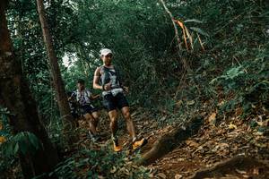 BIB: 
                            <button type="button" onclick="openModal(25544658)" class="btn btn-primary btn-sm float-right btn-popup" data-toggle="modal" data-target=".modal-high-quality">
                        <i class="fas fa-shopping-cart"></i> Add to Cart
                    </button>
                                            <button type="button" onclick="isThisMe(25544658, true)" class="btn btn-success btn-sm float-right btn-popup btn-isme hidden" data-toggle="tooltip" data-placement="bottom" title="นี่คือรูปของคุณใช่ไหม คลิกที่นี่เพื่อเอาเข้าอัลบั้ม">
                        <i class="fas fa-plus"></i> Add to album
                    </button>
                    <button type="button" onclick="isThisMe(25544658, false)" class="btn btn-warning btn-sm float-right btn-popup btn-isnotme hidden">
                        <i class="fas fa-ban"></i> Remove from album
                    </button>