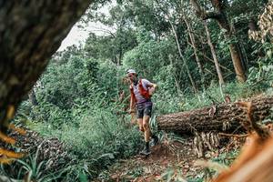 BIB: 
                            <button type="button" onclick="openModal(25531190)" class="btn btn-primary btn-sm float-right btn-popup" data-toggle="modal" data-target=".modal-high-quality">
                        <i class="fas fa-shopping-cart"></i> Add to Cart
                    </button>
                                            <button type="button" onclick="isThisMe(25531190, true)" class="btn btn-success btn-sm float-right btn-popup btn-isme hidden" data-toggle="tooltip" data-placement="bottom" title="นี่คือรูปของคุณใช่ไหม คลิกที่นี่เพื่อเอาเข้าอัลบั้ม">
                        <i class="fas fa-plus"></i> Add to album
                    </button>
                    <button type="button" onclick="isThisMe(25531190, false)" class="btn btn-warning btn-sm float-right btn-popup btn-isnotme hidden">
                        <i class="fas fa-ban"></i> Remove from album
                    </button>