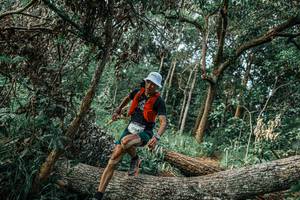 BIB: 
                            <button type="button" onclick="openModal(25532209)" class="btn btn-primary btn-sm float-right btn-popup" data-toggle="modal" data-target=".modal-high-quality">
                        <i class="fas fa-shopping-cart"></i> Add to Cart
                    </button>
                                            <button type="button" onclick="isThisMe(25532209, true)" class="btn btn-success btn-sm float-right btn-popup btn-isme hidden" data-toggle="tooltip" data-placement="bottom" title="นี่คือรูปของคุณใช่ไหม คลิกที่นี่เพื่อเอาเข้าอัลบั้ม">
                        <i class="fas fa-plus"></i> Add to album
                    </button>
                    <button type="button" onclick="isThisMe(25532209, false)" class="btn btn-warning btn-sm float-right btn-popup btn-isnotme hidden">
                        <i class="fas fa-ban"></i> Remove from album
                    </button>