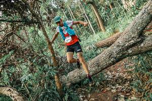 BIB: 
                            <button type="button" onclick="openModal(25531938)" class="btn btn-primary btn-sm float-right btn-popup" data-toggle="modal" data-target=".modal-high-quality">
                        <i class="fas fa-shopping-cart"></i> Add to Cart
                    </button>
                                            <button type="button" onclick="isThisMe(25531938, true)" class="btn btn-success btn-sm float-right btn-popup btn-isme hidden" data-toggle="tooltip" data-placement="bottom" title="นี่คือรูปของคุณใช่ไหม คลิกที่นี่เพื่อเอาเข้าอัลบั้ม">
                        <i class="fas fa-plus"></i> Add to album
                    </button>
                    <button type="button" onclick="isThisMe(25531938, false)" class="btn btn-warning btn-sm float-right btn-popup btn-isnotme hidden">
                        <i class="fas fa-ban"></i> Remove from album
                    </button>