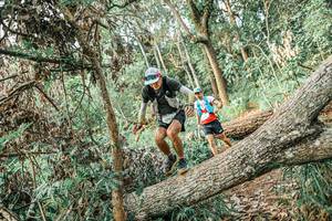 BIB: 
                            <button type="button" onclick="openModal(25531929)" class="btn btn-primary btn-sm float-right btn-popup" data-toggle="modal" data-target=".modal-high-quality">
                        <i class="fas fa-shopping-cart"></i> Add to Cart
                    </button>
                                            <button type="button" onclick="isThisMe(25531929, true)" class="btn btn-success btn-sm float-right btn-popup btn-isme hidden" data-toggle="tooltip" data-placement="bottom" title="นี่คือรูปของคุณใช่ไหม คลิกที่นี่เพื่อเอาเข้าอัลบั้ม">
                        <i class="fas fa-plus"></i> Add to album
                    </button>
                    <button type="button" onclick="isThisMe(25531929, false)" class="btn btn-warning btn-sm float-right btn-popup btn-isnotme hidden">
                        <i class="fas fa-ban"></i> Remove from album
                    </button>