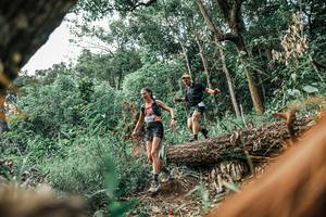 BIB: 
                            <button type="button" onclick="openModal(25531140)" class="btn btn-primary btn-sm float-right btn-popup" data-toggle="modal" data-target=".modal-high-quality">
                        <i class="fas fa-shopping-cart"></i> Add to Cart
                    </button>
                                            <button type="button" onclick="isThisMe(25531140, true)" class="btn btn-success btn-sm float-right btn-popup btn-isme hidden" data-toggle="tooltip" data-placement="bottom" title="นี่คือรูปของคุณใช่ไหม คลิกที่นี่เพื่อเอาเข้าอัลบั้ม">
                        <i class="fas fa-plus"></i> Add to album
                    </button>
                    <button type="button" onclick="isThisMe(25531140, false)" class="btn btn-warning btn-sm float-right btn-popup btn-isnotme hidden">
                        <i class="fas fa-ban"></i> Remove from album
                    </button>