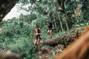 BIB: 
                            <button type="button" onclick="openModal(25531162)" class="btn btn-primary btn-sm float-right btn-popup" data-toggle="modal" data-target=".modal-high-quality">
                        <i class="fas fa-shopping-cart"></i> Add to Cart
                    </button>
                                            <button type="button" onclick="isThisMe(25531162, true)" class="btn btn-success btn-sm float-right btn-popup btn-isme hidden" data-toggle="tooltip" data-placement="bottom" title="นี่คือรูปของคุณใช่ไหม คลิกที่นี่เพื่อเอาเข้าอัลบั้ม">
                        <i class="fas fa-plus"></i> Add to album
                    </button>
                    <button type="button" onclick="isThisMe(25531162, false)" class="btn btn-warning btn-sm float-right btn-popup btn-isnotme hidden">
                        <i class="fas fa-ban"></i> Remove from album
                    </button>