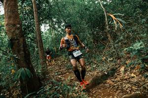 BIB: 
                            <button type="button" onclick="openModal(25537173)" class="btn btn-primary btn-sm float-right btn-popup" data-toggle="modal" data-target=".modal-high-quality">
                        <i class="fas fa-shopping-cart"></i> Add to Cart
                    </button>
                                            <button type="button" onclick="isThisMe(25537173, true)" class="btn btn-success btn-sm float-right btn-popup btn-isme hidden" data-toggle="tooltip" data-placement="bottom" title="นี่คือรูปของคุณใช่ไหม คลิกที่นี่เพื่อเอาเข้าอัลบั้ม">
                        <i class="fas fa-plus"></i> Add to album
                    </button>
                    <button type="button" onclick="isThisMe(25537173, false)" class="btn btn-warning btn-sm float-right btn-popup btn-isnotme hidden">
                        <i class="fas fa-ban"></i> Remove from album
                    </button>