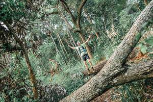 BIB: 
                            <button type="button" onclick="openModal(25532144)" class="btn btn-primary btn-sm float-right btn-popup" data-toggle="modal" data-target=".modal-high-quality">
                        <i class="fas fa-shopping-cart"></i> Add to Cart
                    </button>
                                            <button type="button" onclick="isThisMe(25532144, true)" class="btn btn-success btn-sm float-right btn-popup btn-isme hidden" data-toggle="tooltip" data-placement="bottom" title="นี่คือรูปของคุณใช่ไหม คลิกที่นี่เพื่อเอาเข้าอัลบั้ม">
                        <i class="fas fa-plus"></i> Add to album
                    </button>
                    <button type="button" onclick="isThisMe(25532144, false)" class="btn btn-warning btn-sm float-right btn-popup btn-isnotme hidden">
                        <i class="fas fa-ban"></i> Remove from album
                    </button>